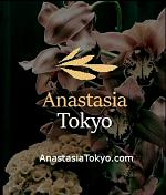 Anastasia Tokyo - AnastasiaTokyo.com